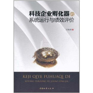 系统之困与破局之道 科技企业孵化器运营管理的反思与实践——读《系统运行与绩效评价》有感